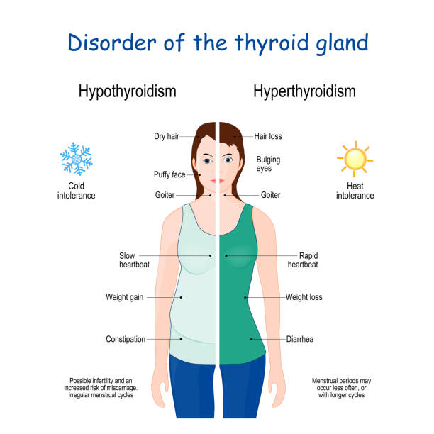 Understanding Thyroid and its Disorders