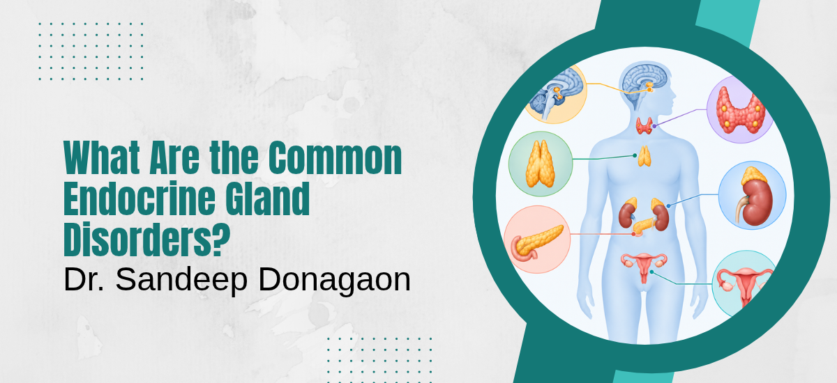 What Are the Common Endocrine Gland Disorders?